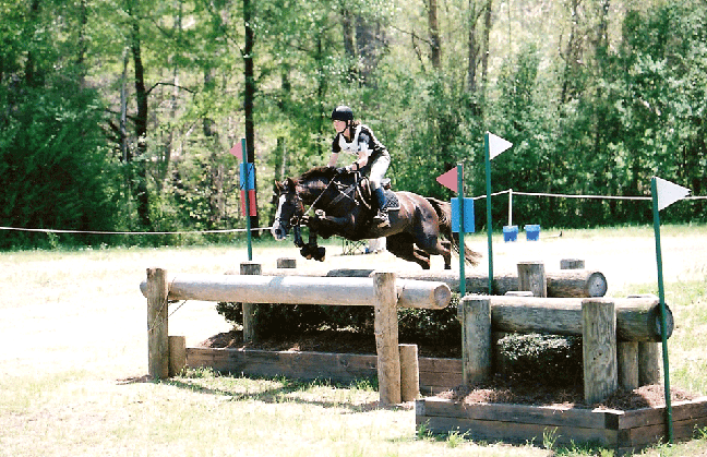 cross country jumping horse. The cross country jumping